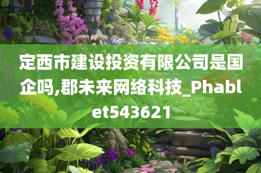 定西市建设投资有限公司是国企吗,郡未来网络科技_Phablet543621