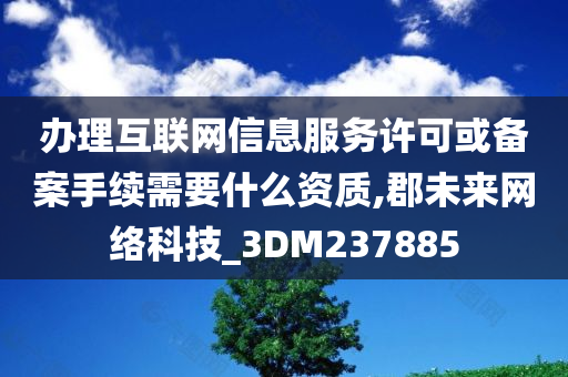 办理互联网信息服务许可或备案手续需要什么资质,郡未来网络科技_3DM237885