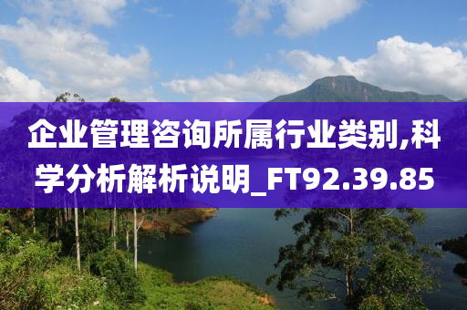 企业管理咨询所属行业类别,科学分析解析说明_FT92.39.85