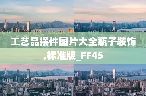 工艺品摆件图片大全瓶子装饰,标准版_FF45