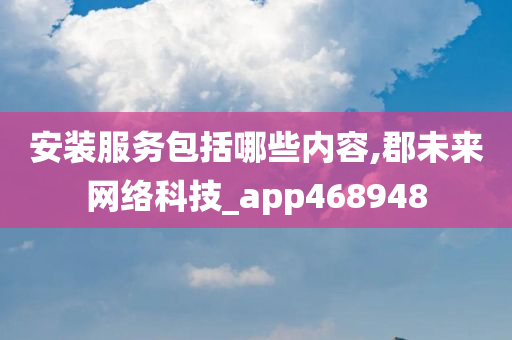 安装服务包括哪些内容,郡未来网络科技_app468948