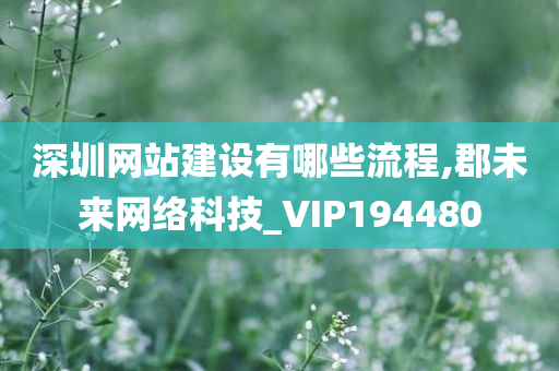 深圳网站建设有哪些流程,郡未来网络科技_VIP194480