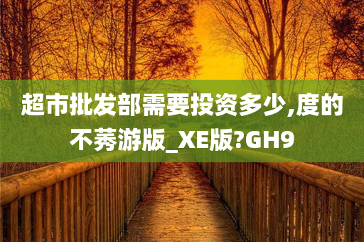 超市批发部需要投资多少,度的不莠游版_XE版?GH9