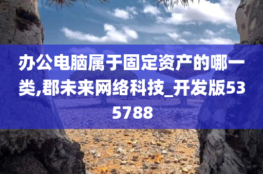 办公电脑属于固定资产的哪一类,郡未来网络科技_开发版535788