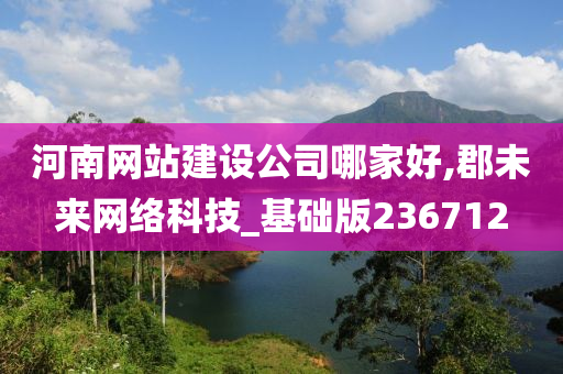 河南网站建设公司哪家好,郡未来网络科技_基础版236712