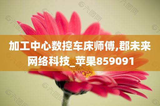 加工中心数控车床师傅,郡未来网络科技_苹果859091