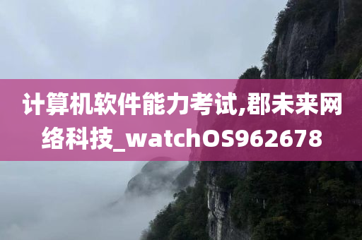 计算机软件能力考试,郡未来网络科技_watchOS962678