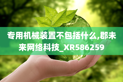 专用机械装置不包括什么,郡未来网络科技_XR586259