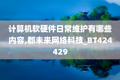 计算机软硬件日常维护有哪些内容,郡未来网络科技_BT424429