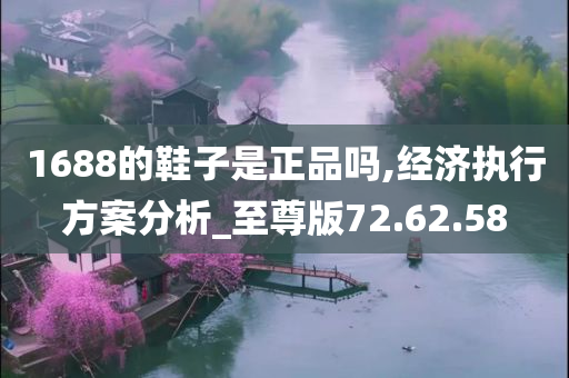 1688的鞋子是正品吗,经济执行方案分析_至尊版72.62.58