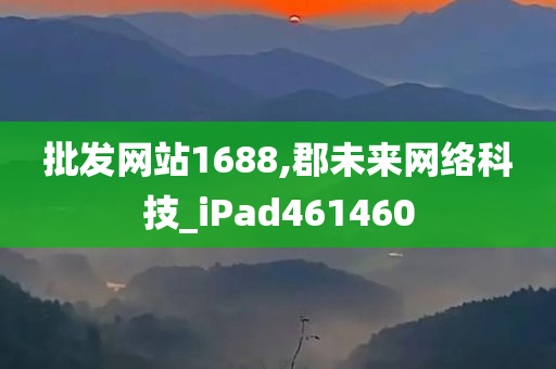 批发网站1688,郡未来网络科技_iPad461460