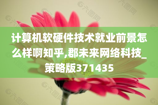 计算机软硬件技术就业前景怎么样啊知乎,郡未来网络科技_策略版371435