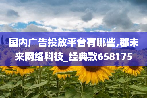 国内广告投放平台有哪些,郡未来网络科技_经典款658175