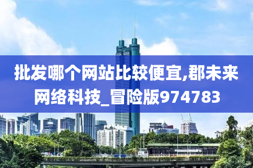 批发哪个网站比较便宜,郡未来网络科技_冒险版974783