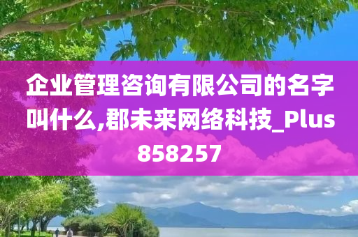 企业管理咨询有限公司的名字叫什么,郡未来网络科技_Plus858257