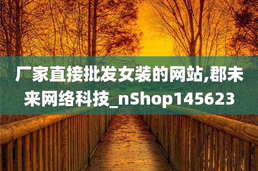 厂家直接批发女装的网站,郡未来网络科技_nShop145623