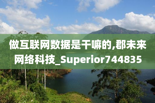 做互联网数据是干嘛的,郡未来网络科技_Superior744835