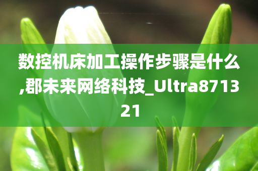 数控机床加工操作步骤是什么,郡未来网络科技_Ultra871321