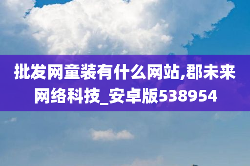 批发网童装有什么网站,郡未来网络科技_安卓版538954