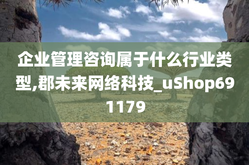 企业管理咨询属于什么行业类型,郡未来网络科技_uShop691179