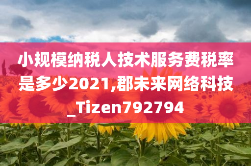 小规模纳税人技术服务费税率是多少2021,郡未来网络科技_Tizen792794