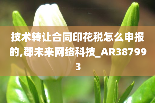 技术转让合同印花税怎么申报的,郡未来网络科技_AR387993