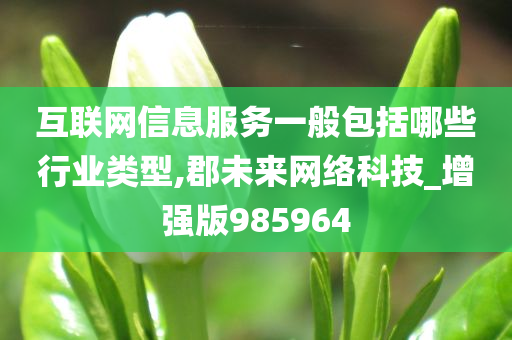 互联网信息服务一般包括哪些行业类型,郡未来网络科技_增强版985964