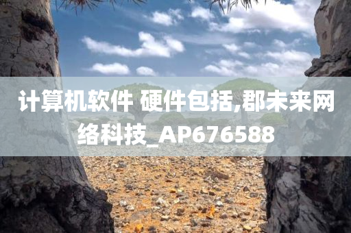 计算机软件 硬件包括,郡未来网络科技_AP676588