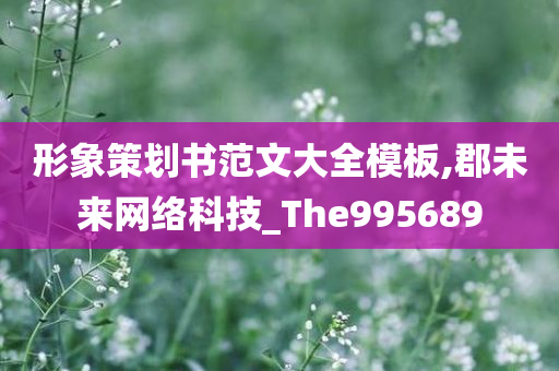 形象策划书范文大全模板,郡未来网络科技_The995689