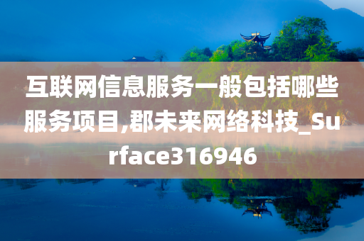 互联网信息服务一般包括哪些服务项目,郡未来网络科技_Surface316946