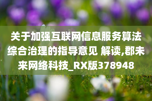 关于加强互联网信息服务算法综合治理的指导意见 解读,郡未来网络科技_RX版378948