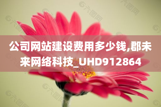 公司网站建设费用多少钱,郡未来网络科技_UHD912864