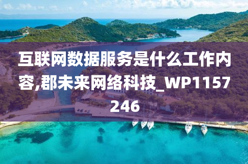 互联网数据服务是什么工作内容,郡未来网络科技_WP1157246