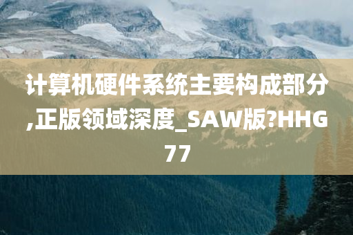 计算机硬件系统主要构成部分,正版领域深度_SAW版?HHG77