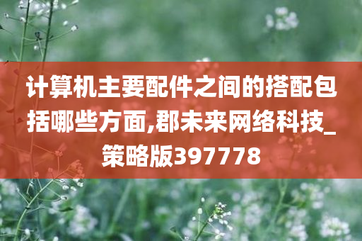 计算机主要配件之间的搭配包括哪些方面,郡未来网络科技_策略版397778