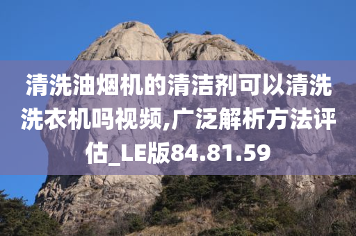 清洗油烟机的清洁剂可以清洗洗衣机吗视频,广泛解析方法评估_LE版84.81.59