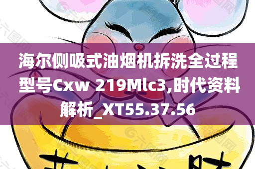 海尔侧吸式油烟机拆洗全过程 型号Cxw 219Mlc3,时代资料解析_XT55.37.56