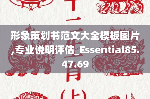 形象策划书范文大全模板图片,专业说明评估_Essential85.47.69