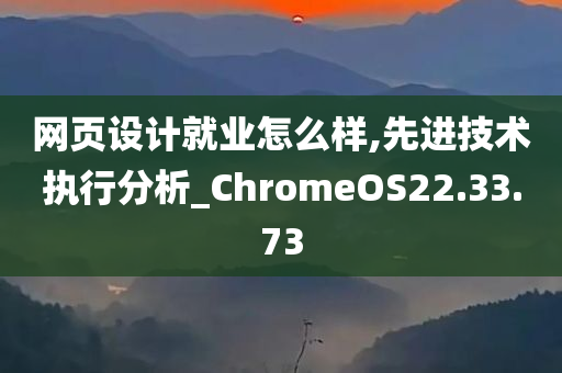 网页设计就业怎么样,先进技术执行分析_ChromeOS22.33.73