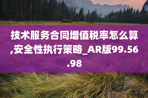 技术服务合同增值税率怎么算,安全性执行策略_AR版99.56.98