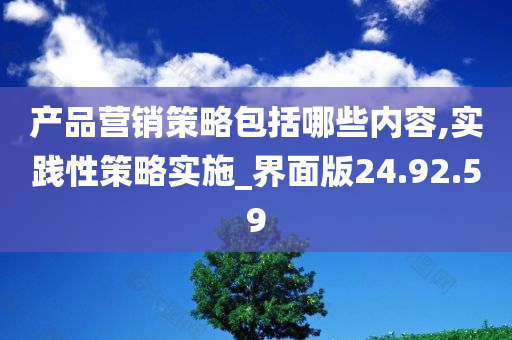 产品营销策略包括哪些内容,实践性策略实施_界面版24.92.59