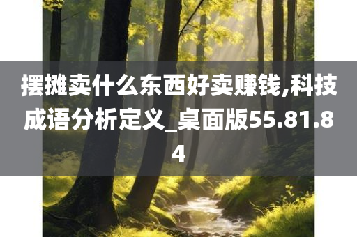 摆摊卖什么东西好卖赚钱,科技成语分析定义_桌面版55.81.84