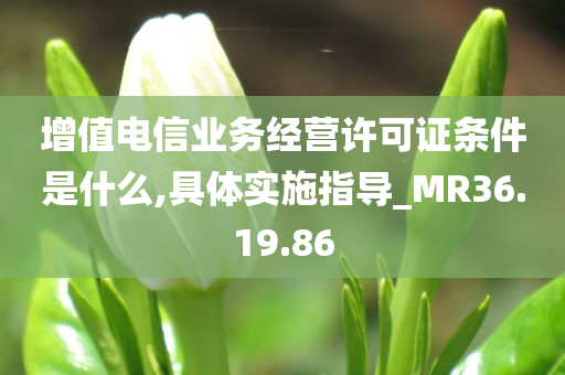 增值电信业务经营许可证条件是什么,具体实施指导_MR36.19.86