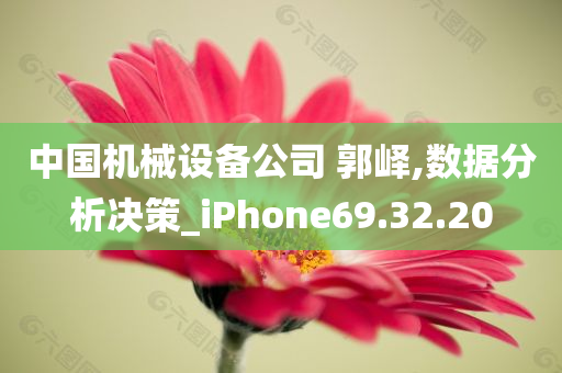 中国机械设备公司 郭峄,数据分析决策_iPhone69.32.20