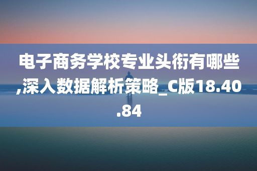 电子商务学校专业头衔有哪些,深入数据解析策略_C版18.40.84