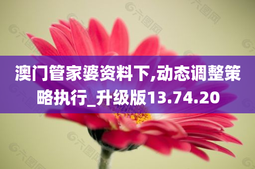 澳门管家婆资料下,动态调整策略执行_升级版13.74.20