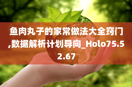 鱼肉丸子的家常做法大全窍门,数据解析计划导向_Holo75.52.67