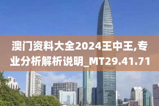 澳门资料大全2024王中王,专业分析解析说明_MT29.41.71