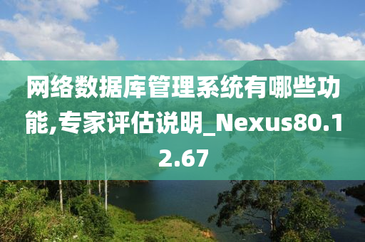 网络数据库管理系统有哪些功能,专家评估说明_Nexus80.12.67