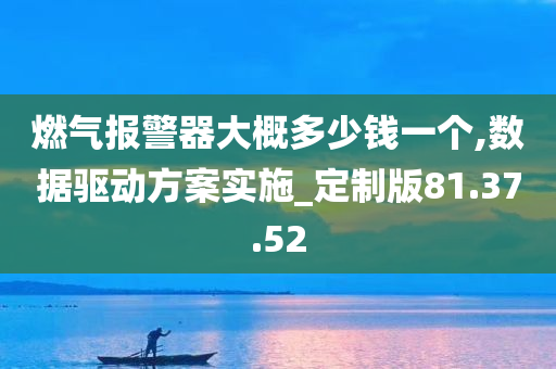 燃气报警器大概多少钱一个,数据驱动方案实施_定制版81.37.52